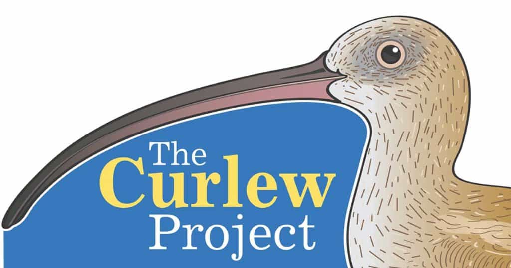 The Curlew Project logo