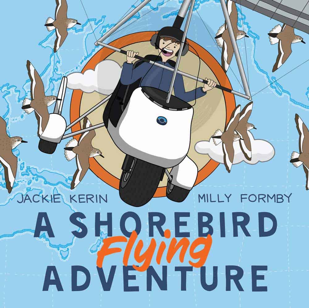 Book cover for A Shorebird Flying Adventure